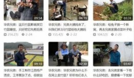 在线吃瓜头条爆料视频,在线吃瓜头条最新爆料视频，热点事件一网打尽！