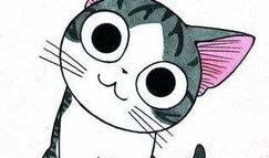 猫的动漫,探寻猫咪角色的奇幻世界